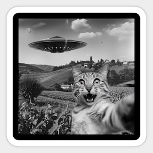 Cat Selfie UFOs Sticker
